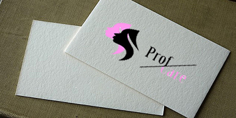 Logo PROFCARE
